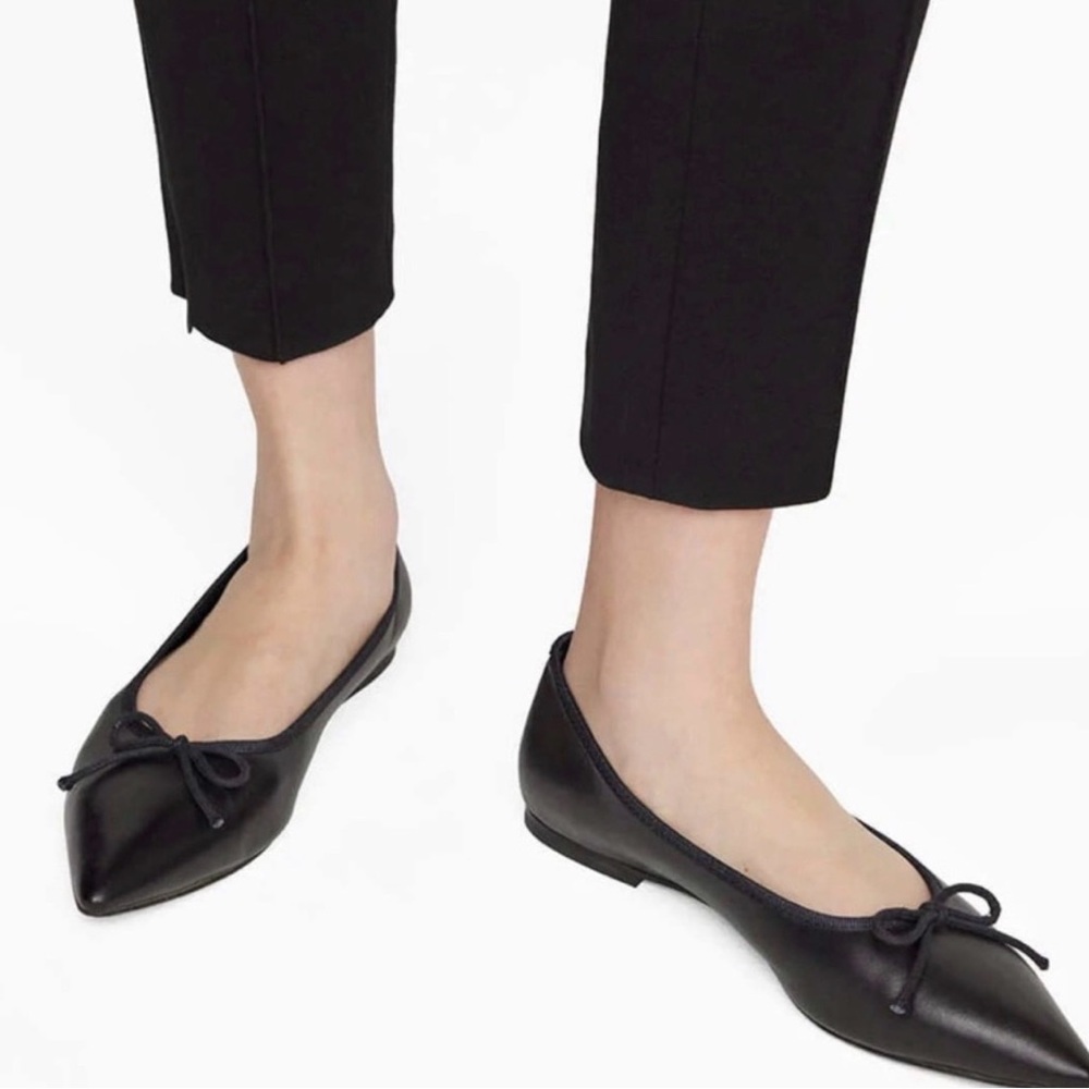 Anine Bing Delphine flats